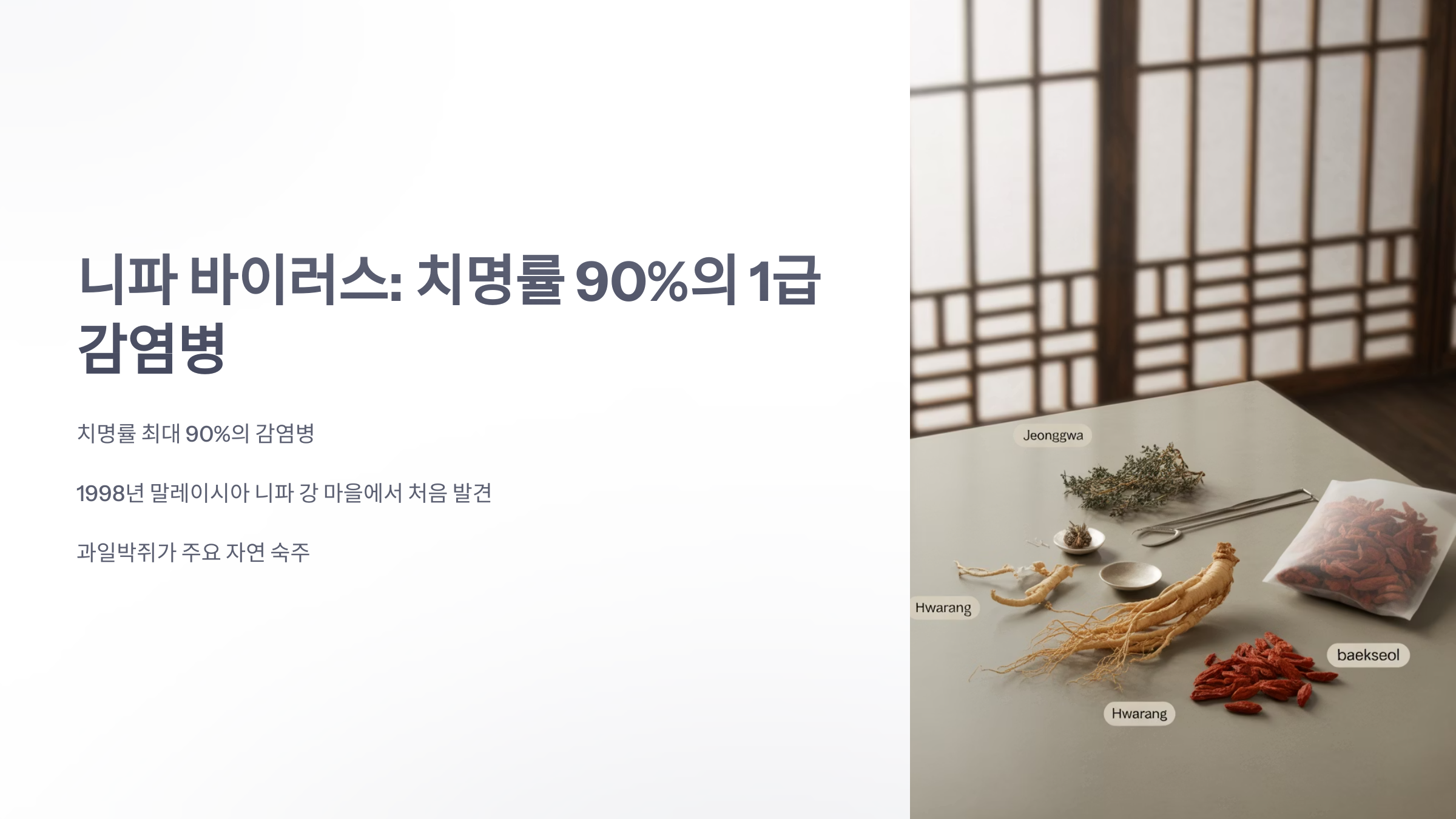 참조-니파-바이러스,-1급-감영병-1