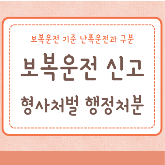 보복운전 신고 처벌