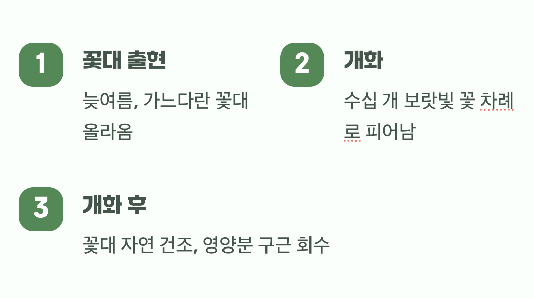 기다림 끝의 선물&amp;#44; 보랏빛 꽃의 향연