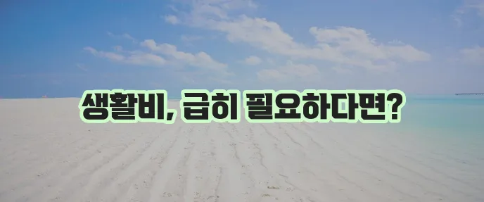서민금융진흥원대출: 생계비도움을 위한 소액대출