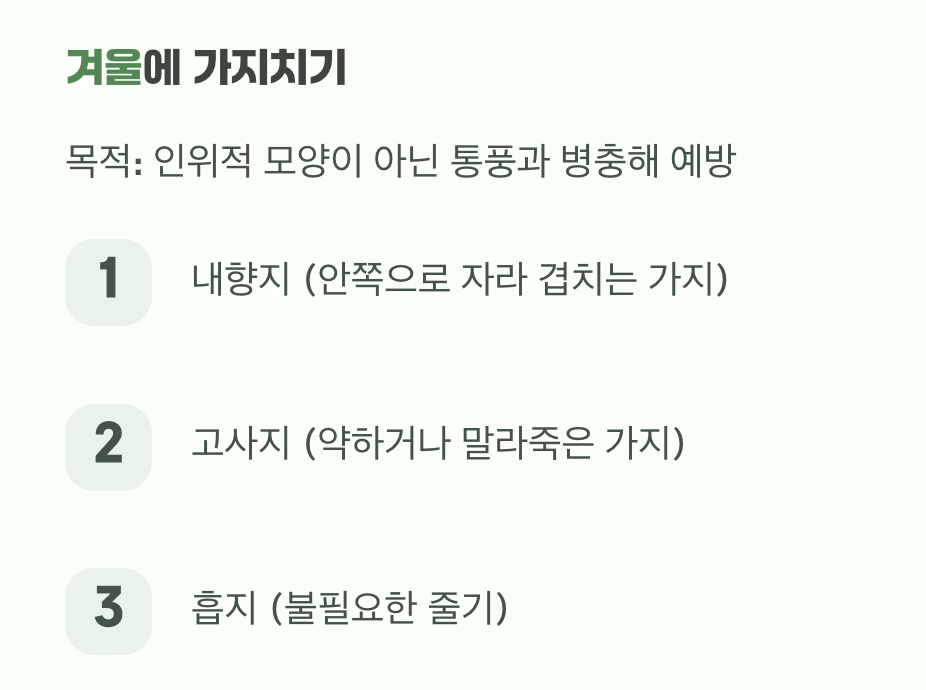 최소한의 손길로 완성하는 멋