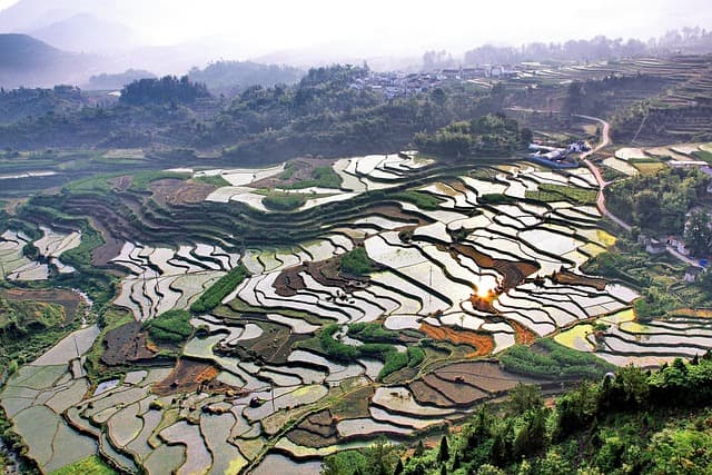 사라진 로마 제국의 신년 축제, 사투르날리아(Saturnalia)의 진실