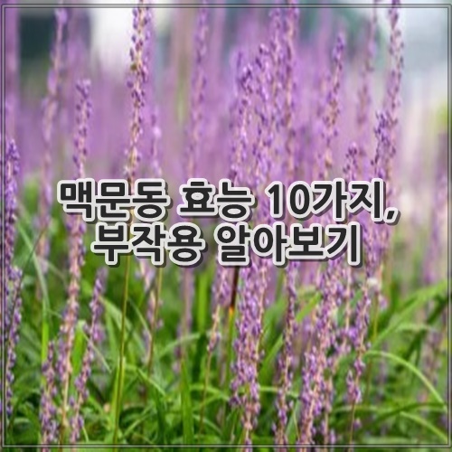맥문동 효능 10가지, 부작용 알아보기