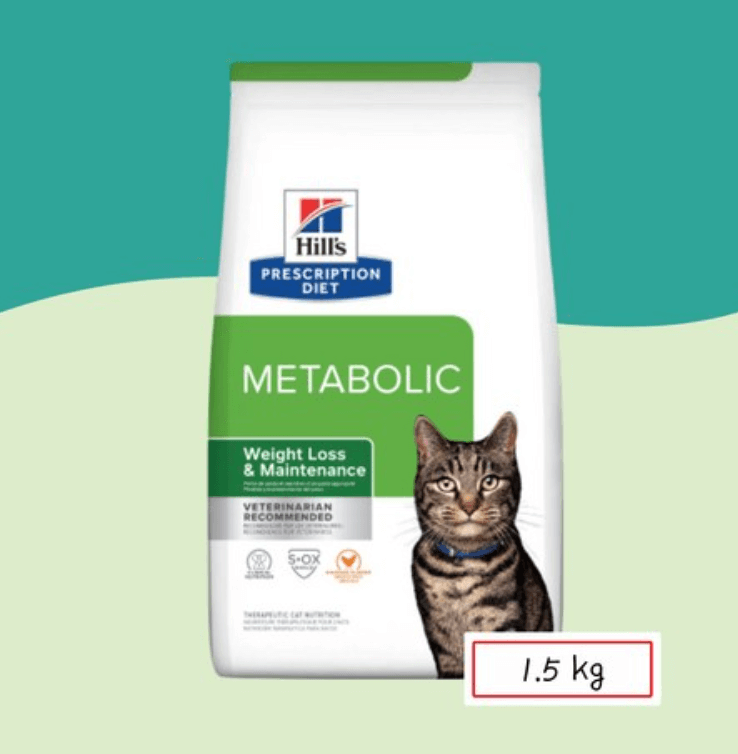 힐스-캣-메타볼릭