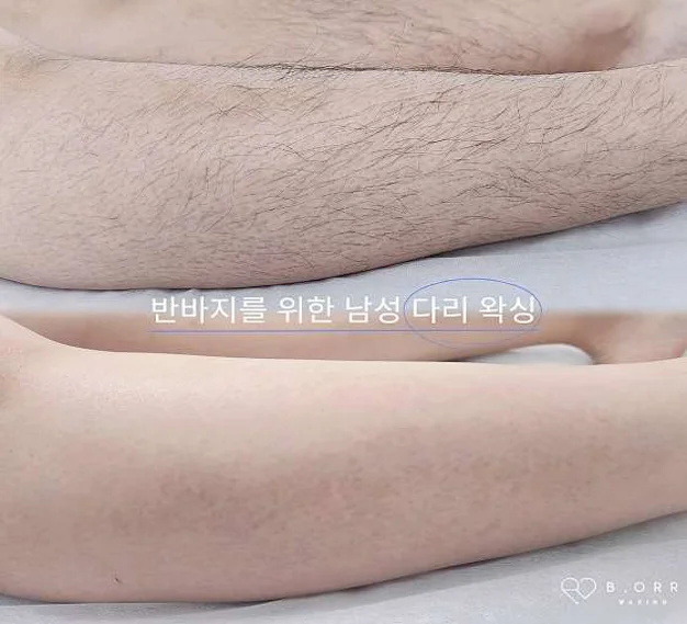 비오르