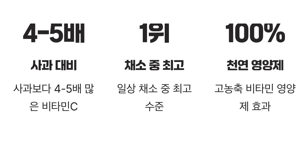 '비타민 폭탄', 그 이름의 비밀