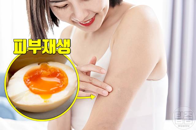 피부 하얘지는 음식 피부미백에 좋은 음식 달걀