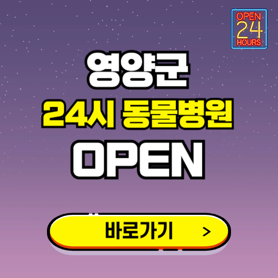 영양군 24시 동물병원 진료하는 곳 ❘ 설날 휴일 야간 심야 문여는곳 찾기 ❘ 응급진료