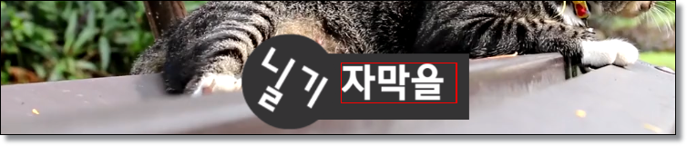 프리미어프로-로고-자막