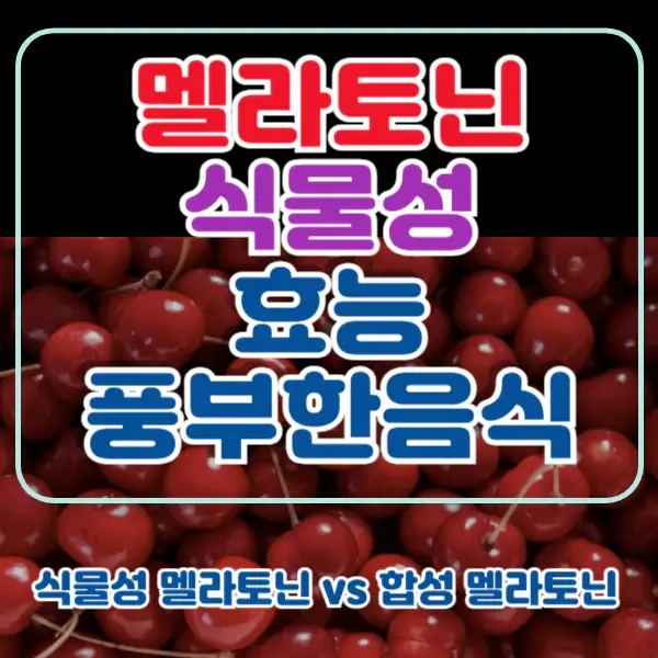 포스팅-썸네일