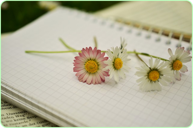 노벨문학상 한강 작품 수상작 ✅ 나이 아버지 채식주의자 고향 가족 ✅