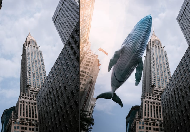 미드저니 사용법 가격 앱 요금제 무료 환불 할인 꿀팁 ai 이미지 생성 총정리2