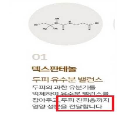 과장광고