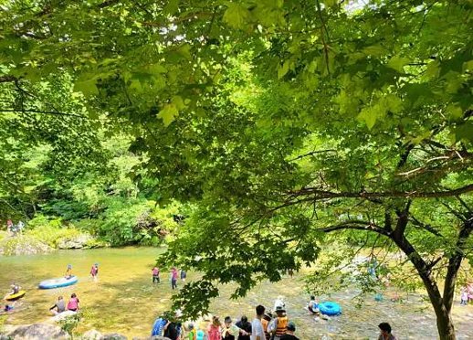 무주눈꽃 덕유캠프