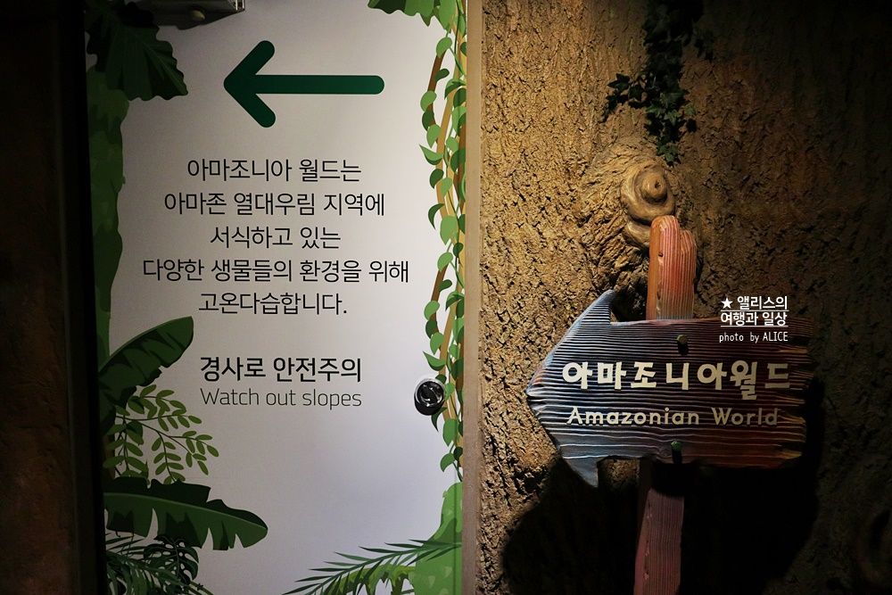 코엑스 아쿠아리움 입장권 할인예약 방법, 대중교통 가는 방법, 참물범 펭귄 비버 상어 보러가자!