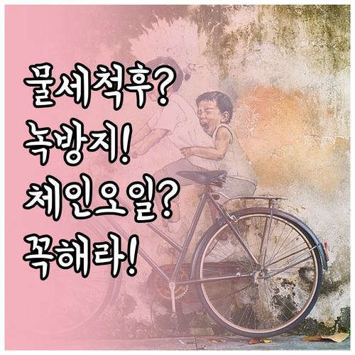 자전거 물세척 후 녹 방지와 체인 오..