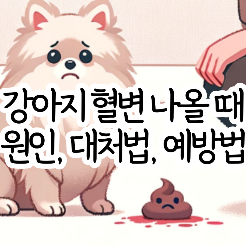 강아지 혈변 나올 때 이유 대처 방법 예방법
