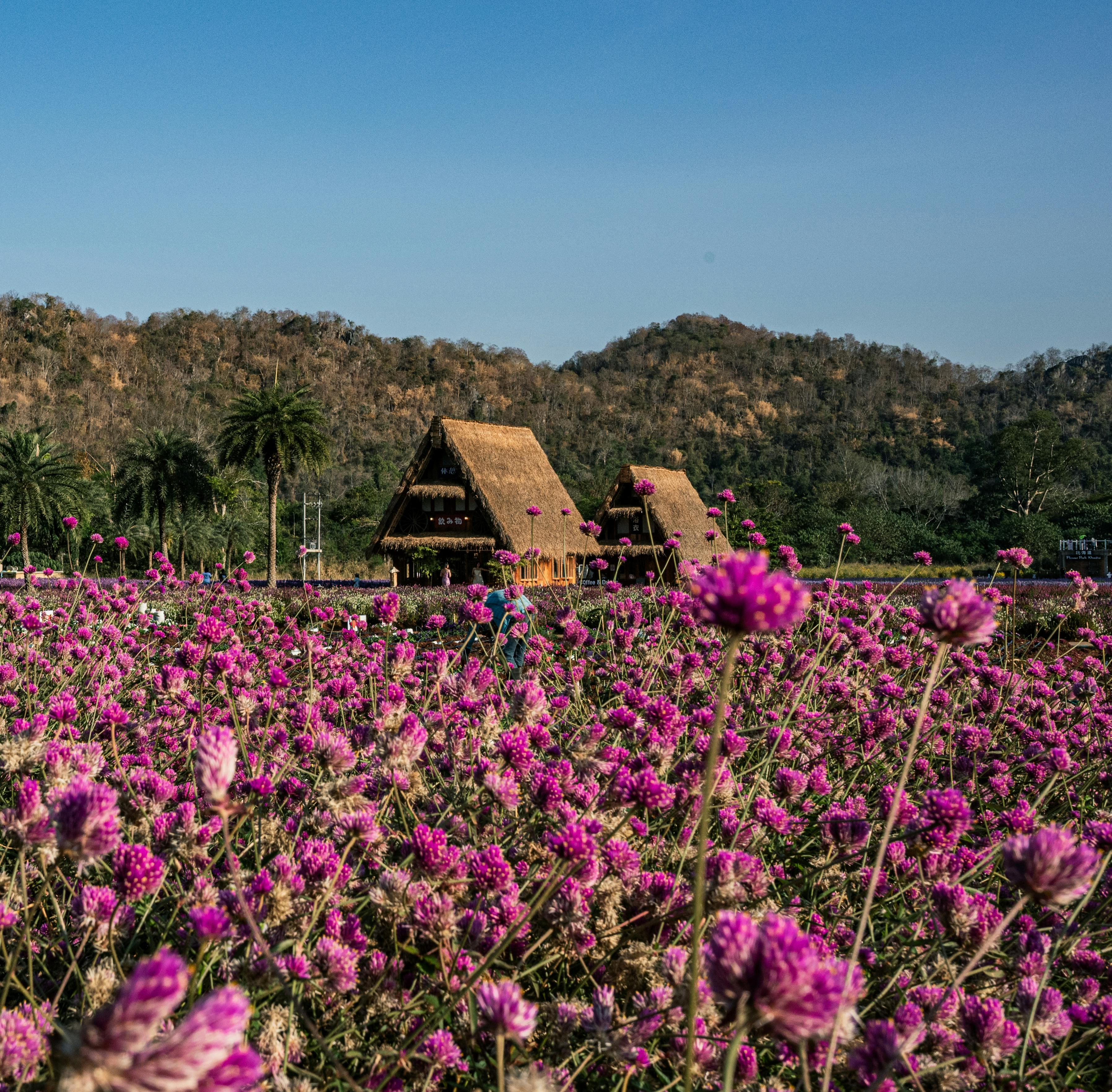 태국 시골 오두막집