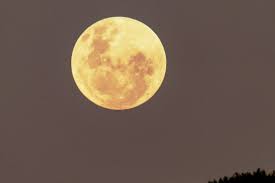 딸기달 (Strawberry Moon)