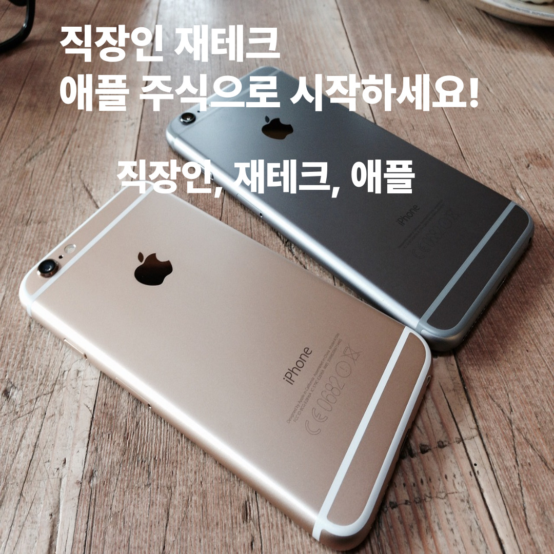 직장인 재테크, 애플 주식으로 시작하세요!( 직장인, 재테크, 애플)