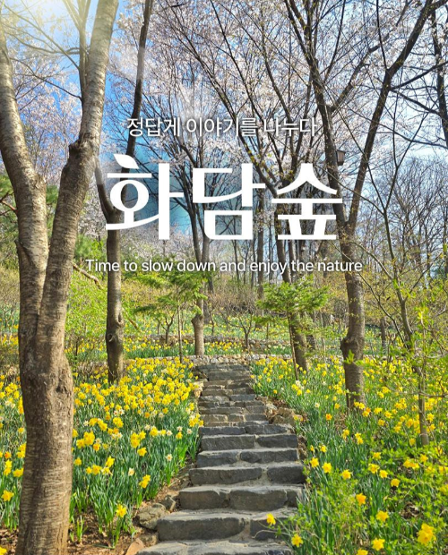 화담숲 봄 풍경