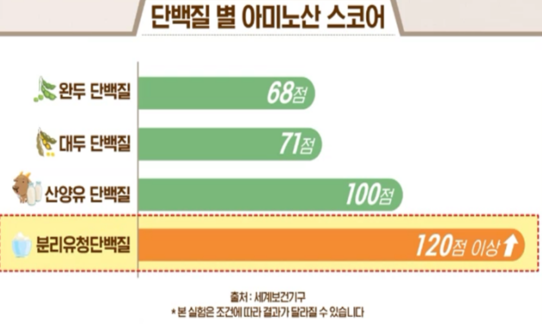 분리유청단백질 효능
