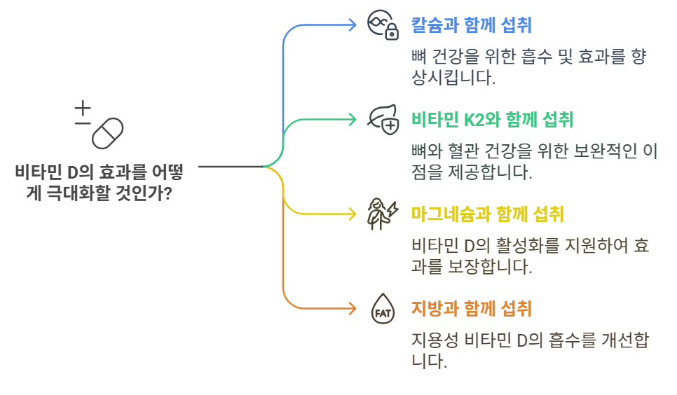 비타민 D와 함께 먹으면 좋은 시너지 영양 성분