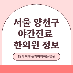 서울 양천구 야간진료 한의원 병원 (18시 이후 늦게까지하는 병원)