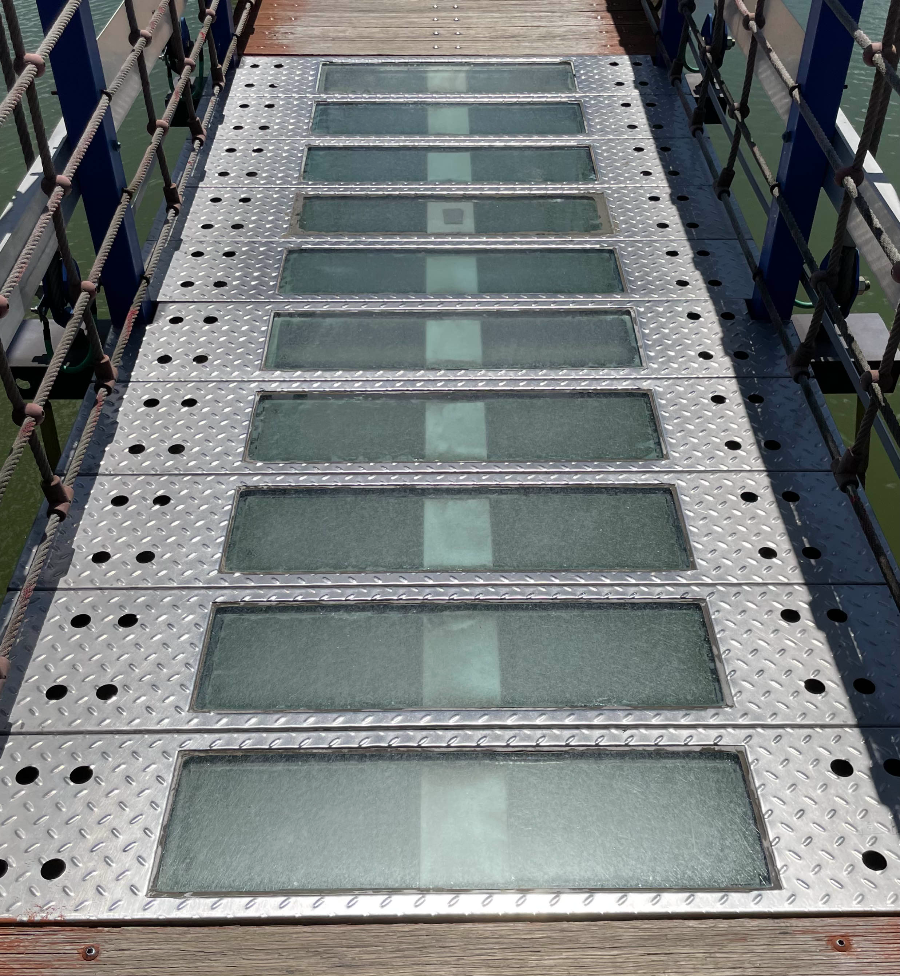 청양 천장호 출렁다리