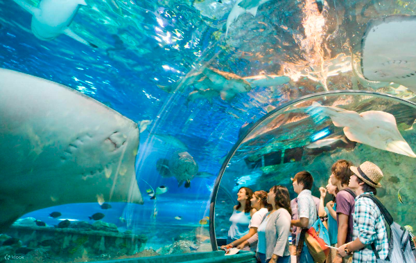 언더워터 월드 괌