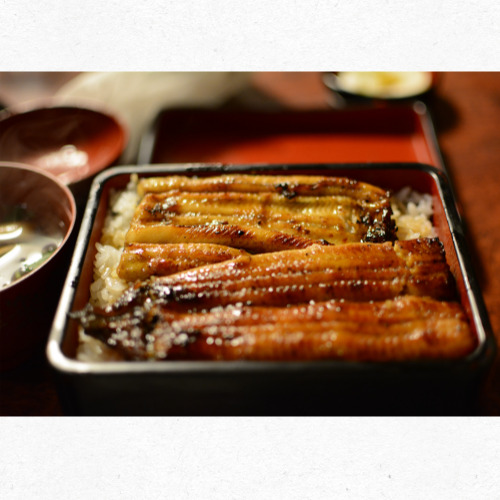 여름철 활력을 주는 장어덮밥