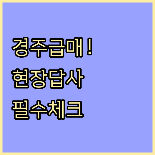 경주 지역 상가 및 주택 매물 확인과..