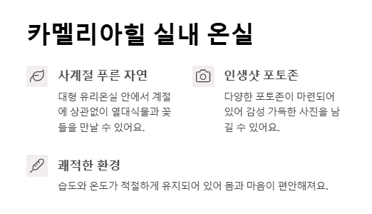 제주 실내 관광지 추천 비 오는 날에도 걱정 없는 여행지 모음