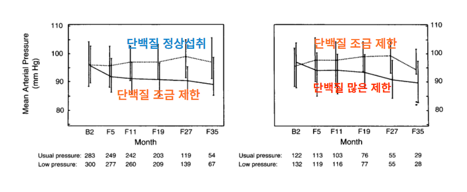 낮은 혈압과 낮은 단백질이 신장기능에 영향을 주는지에 대한 논문
