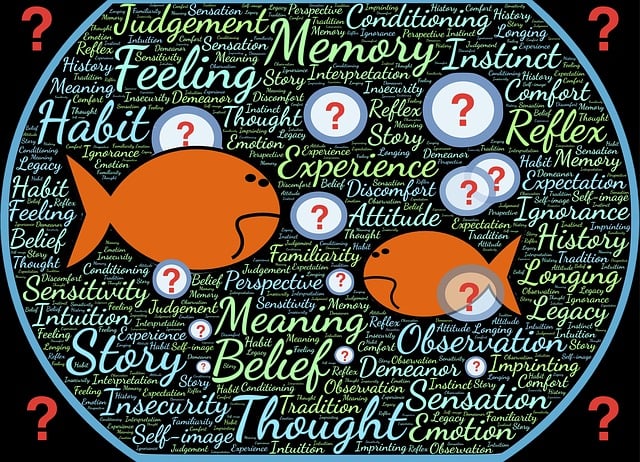 기억, 감정, 습관, 의미, 믿음 등의 단어가 원형 구조로 연결되어 있으며, 질문 표시와 물고기 아이콘으로 뇌의 선택과 사고 과정을 상징적으로 표현한 이미지 (출처: Pixabay/Free-Photos)