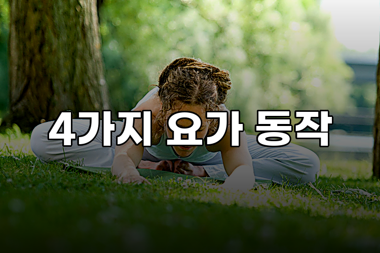 4가지 요가 동작