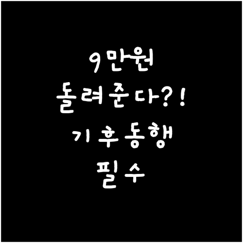 2026년 상반기 기후동행카드 페이백..