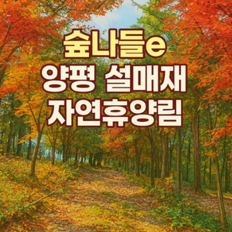 숲나들e 양평 설매재 자연휴양림 국내 여행지 추천 관련사진