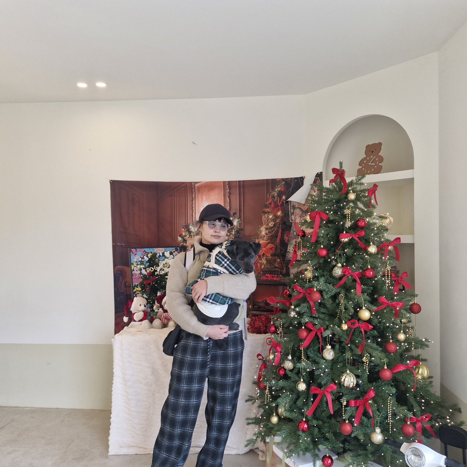 수의사가 알려준 강아지 발톱깎기&amp;#44;귀청소&amp;#44;항문낭 관리법 