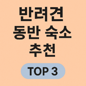 반려견 동반 숙소 추천 TOP 3