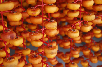 겨울철 제철 과일4