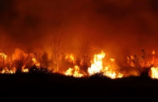 LA 산불 원인 산불지역 지도 위치 진화현황 산불 피해액