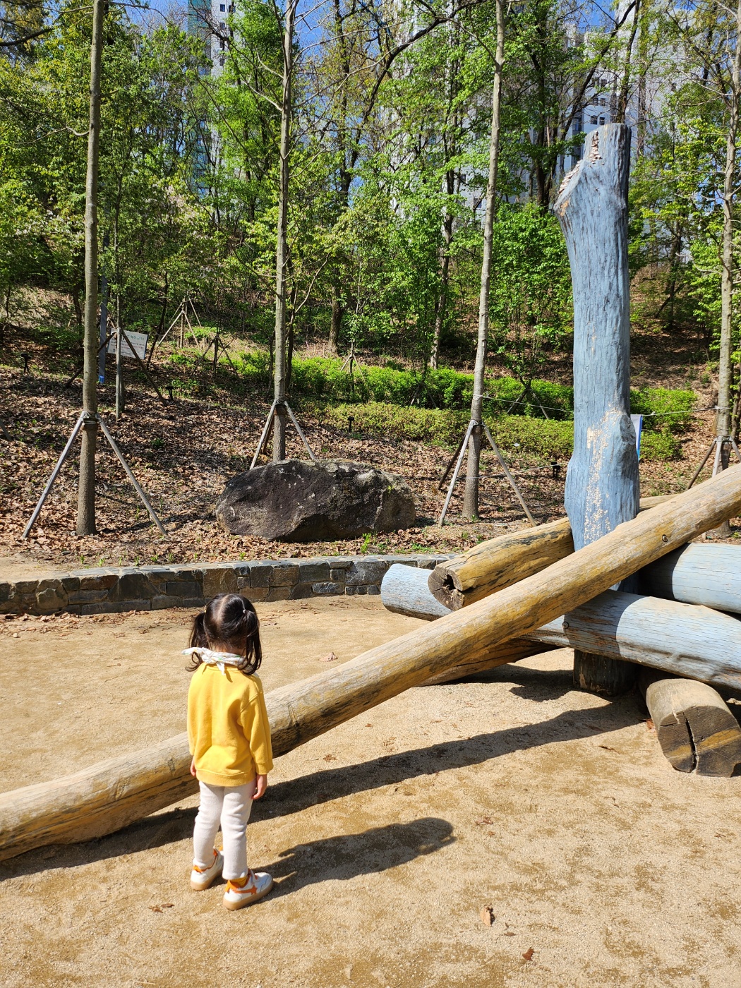 나무 조형물을 바라보는 아이