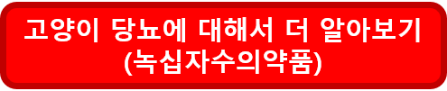 고양이 당뇨란? 인간의 당뇨와 고양이 당뇨의 비교 / 고양이 당뇨의 주요 증상 및 발생 원인 / 고양이 당뇨 자가진단 방법 - 고양이 당뇨 - 고양이 당뇨 자가진단 방법 고양이-당뇨-더알아보기-녹십자수의약품