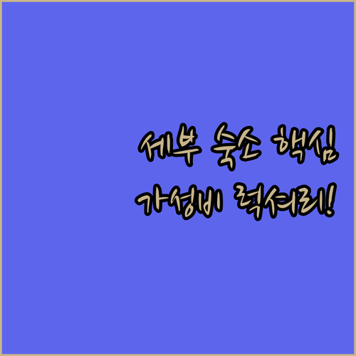 세부 막탄 여행 숙소 결정장애 탈출 ..