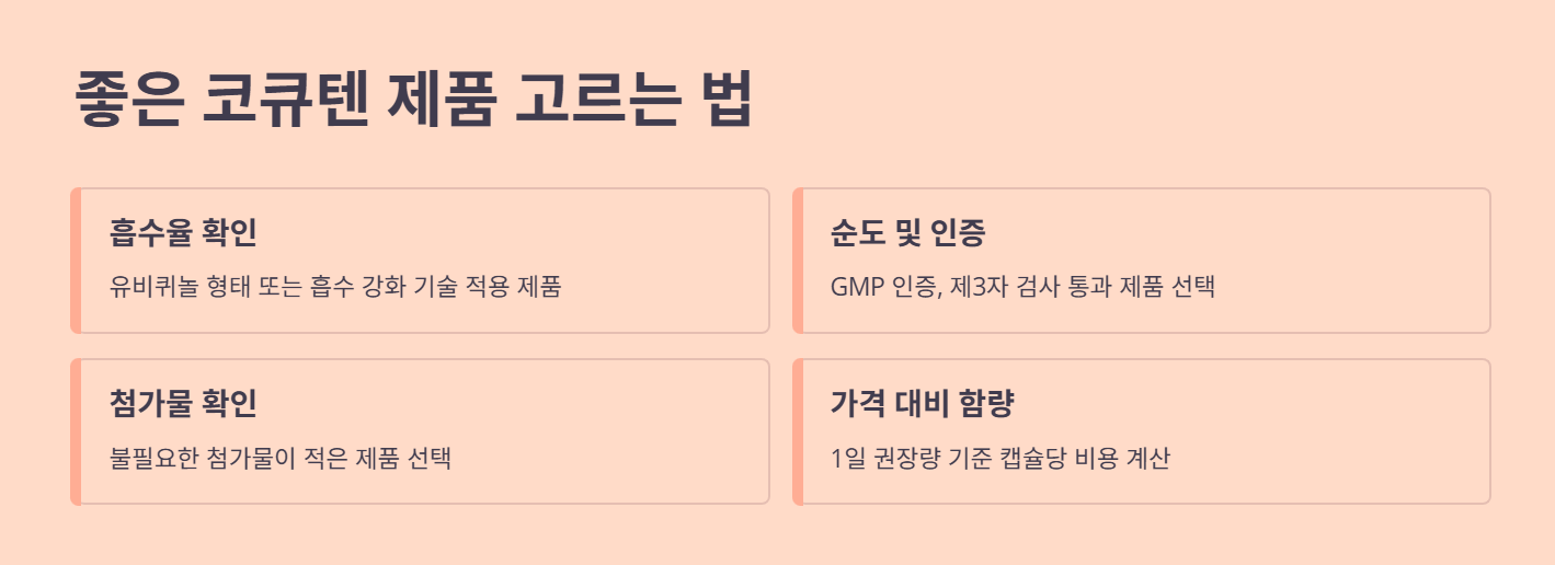 코큐텐 최종 점검!