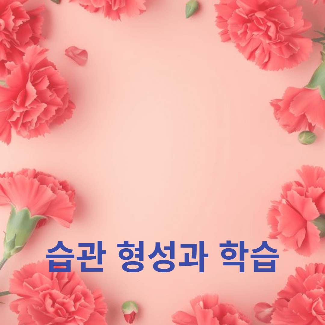 생산성을 높이는 자기계발 일상: 습관 형성과 학습의 팁