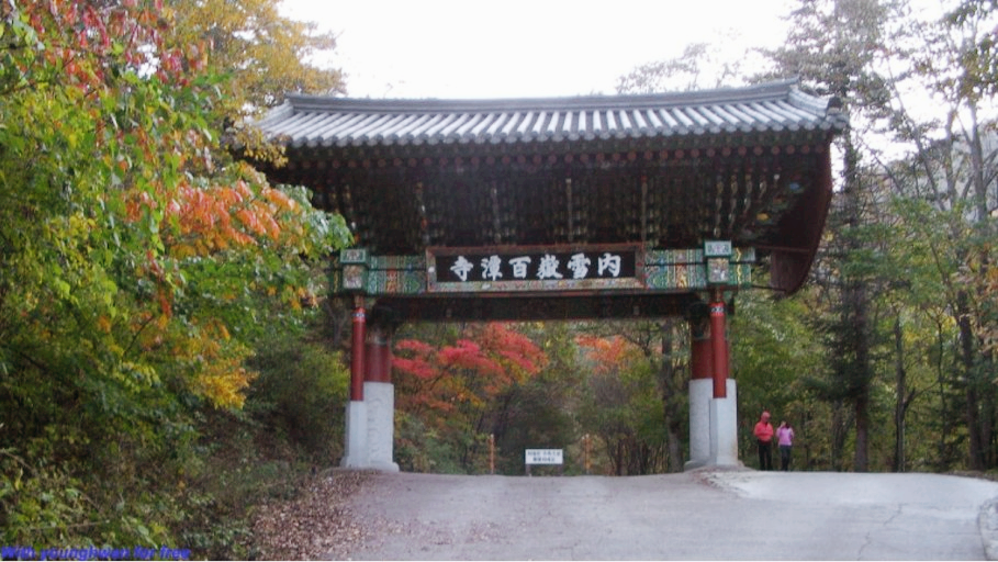 대체텍스트