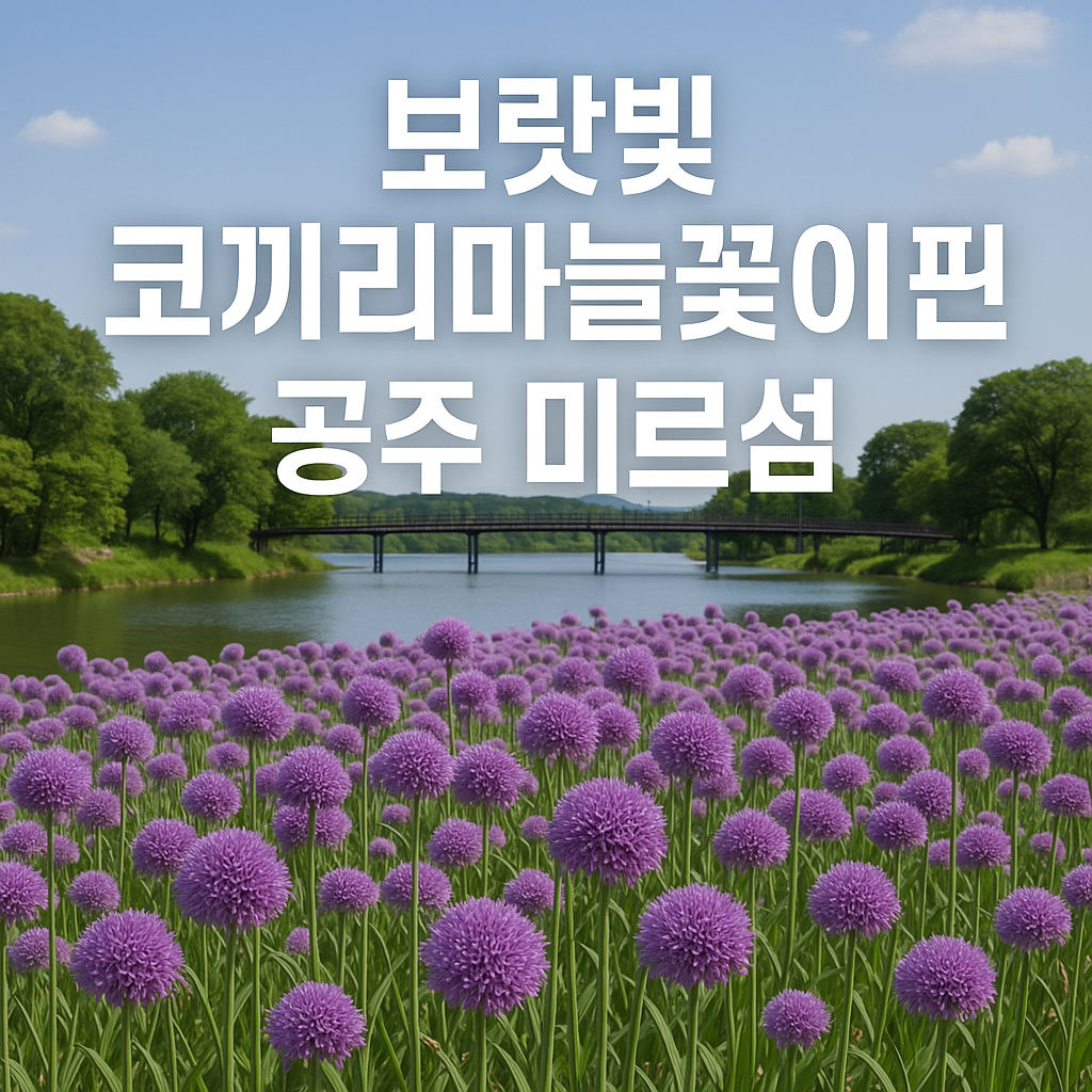 공주 미르섬
