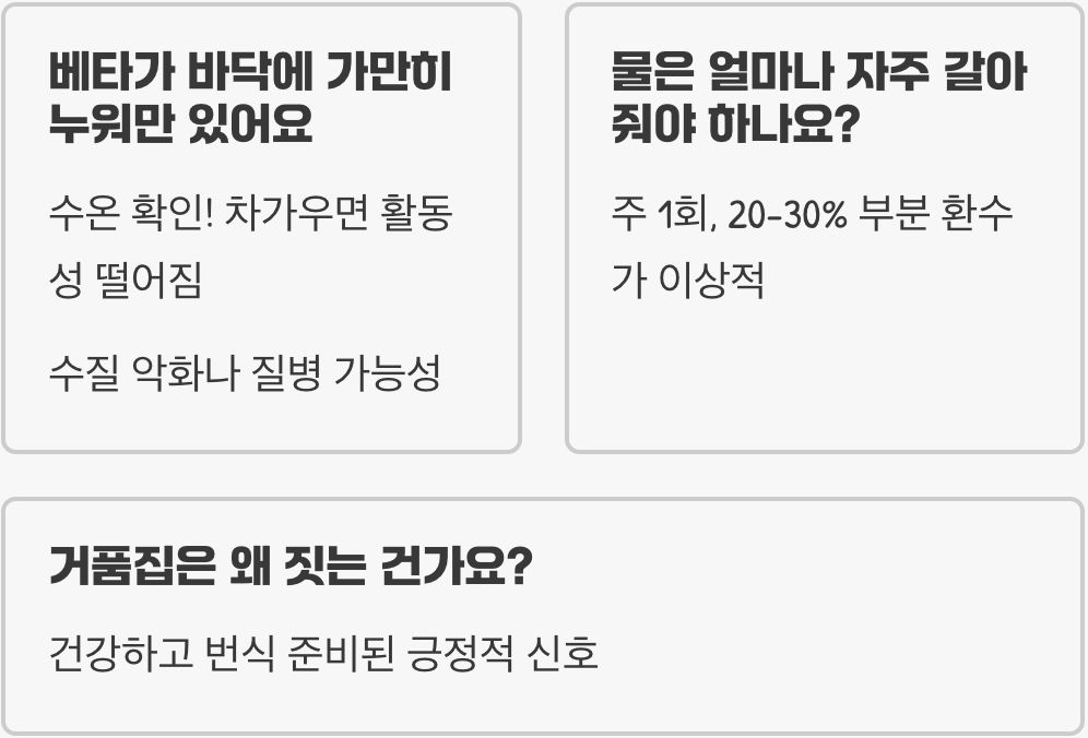 베타물고기 키우기 A to Z (어항, 먹이, 수질 관리)